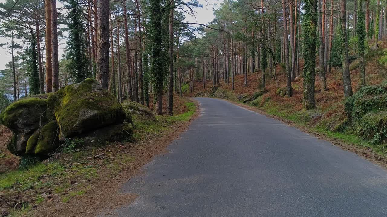 Skovvej i bjergene.