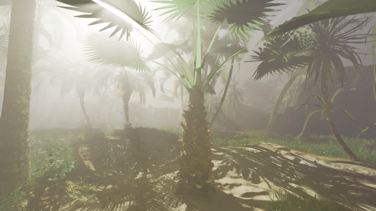 Tropical rainforest landscape shrouded in mist during early morning hours