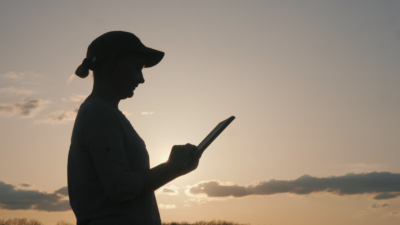 mujer usando tableta al atardecer