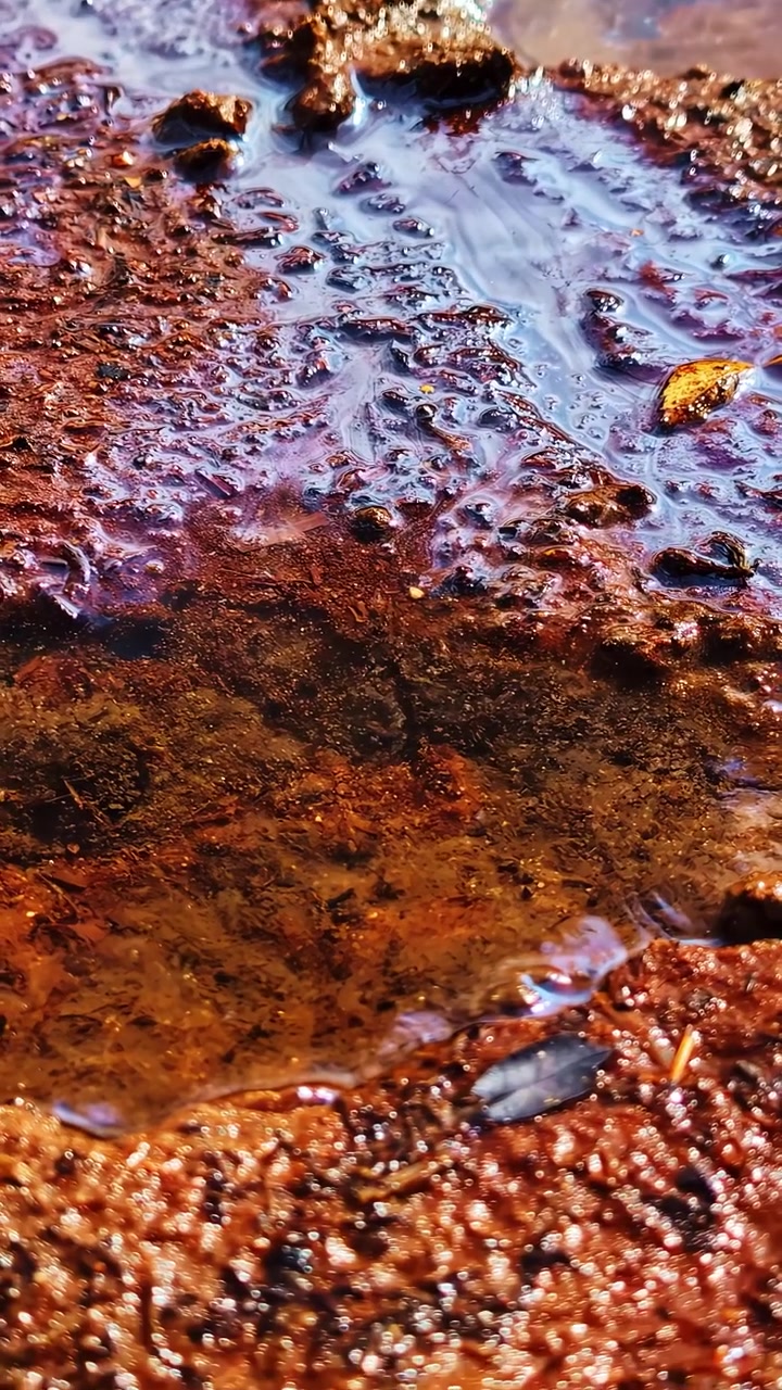 El agua fluye sobre una superficie de carne detallada y texturizada, creando intrincados patrones naturales.