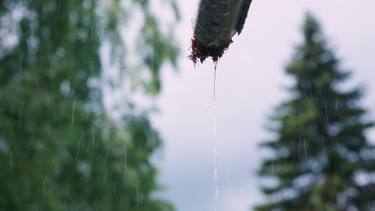 또 다른 비오는 날