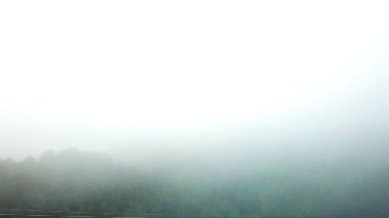 이른 아침 안개 안개 철도 교량 - 아치