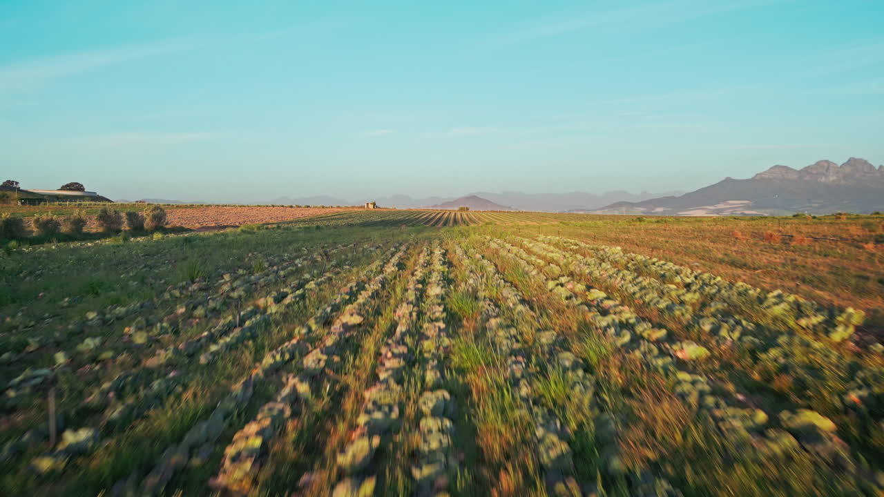 granja, agricultura y drone del paisaje en el campo