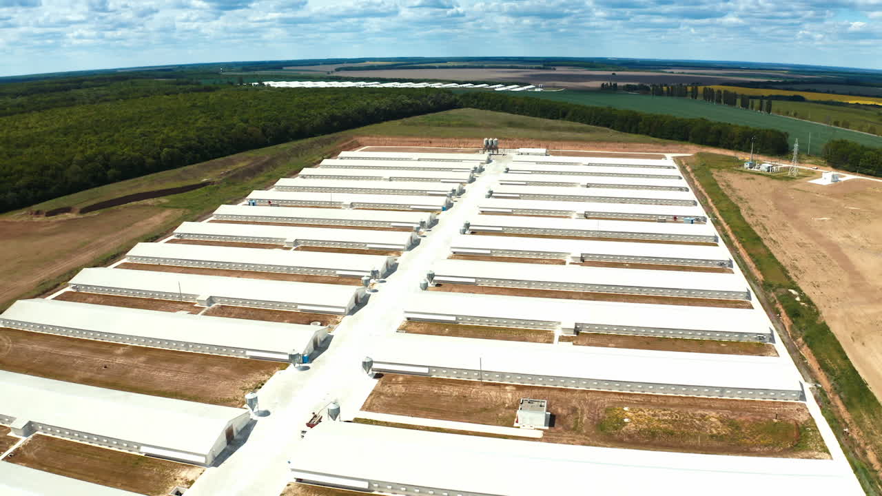 Poultry farm industrial. Complex of white buildings poultry farm