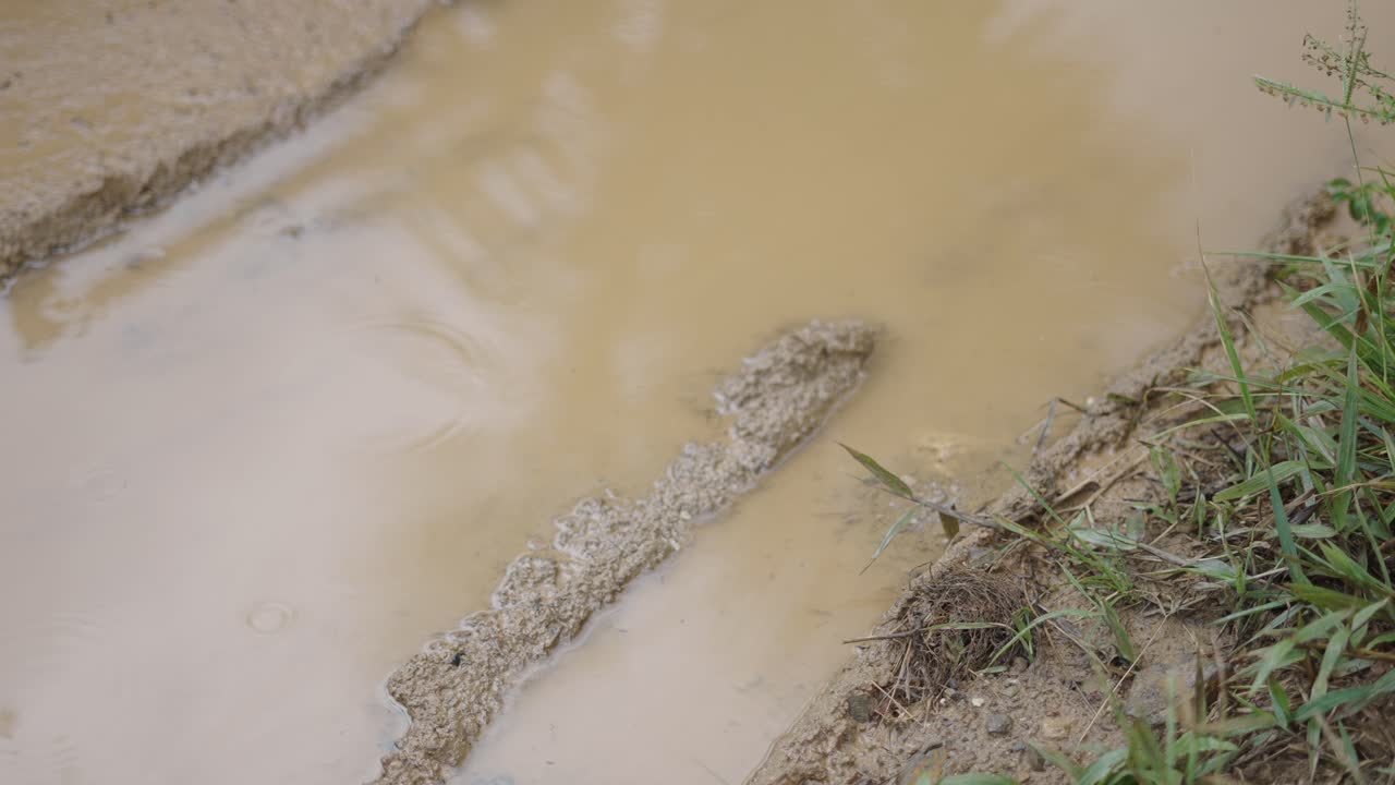 Puddle of Water on Dirt Road