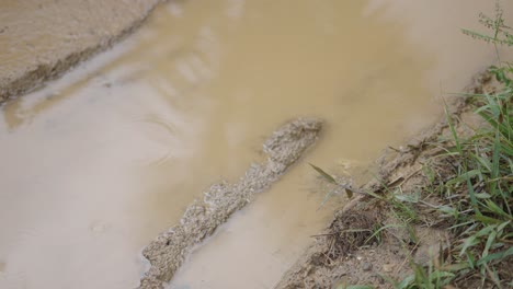 puddle of water on dirt road