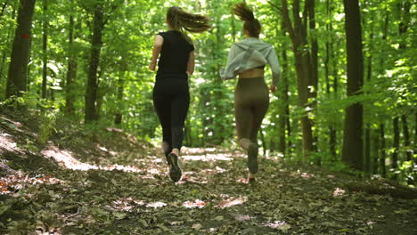 back view of two sportswomen running in the woods 2