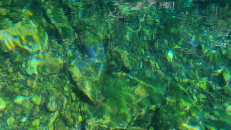 Crystal-Clear-Emerald-Water-of-Mexican-Cenote,-Close-Up