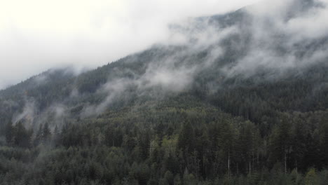 a slow push in drone shot in the olympic mountains as fog rolls low over the forest