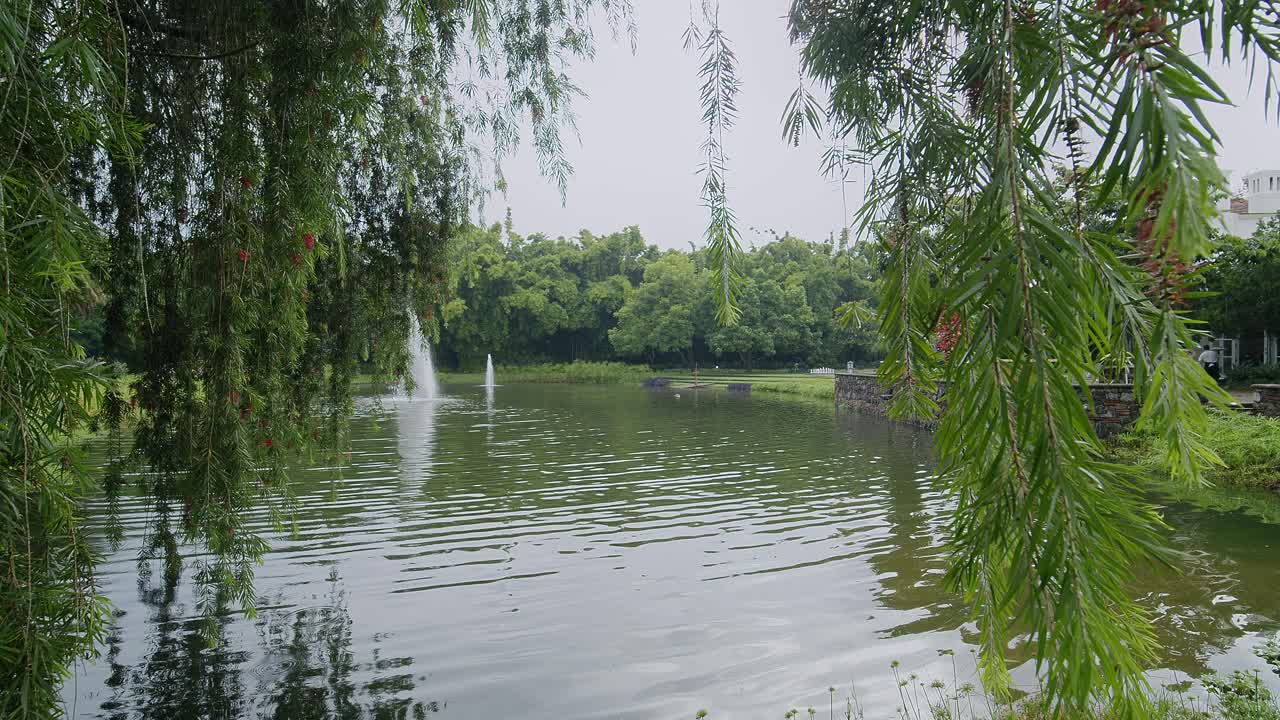 안티구아, 과테말라에서 화산이 배경으로 보이는 웅이와 울창한 초록색을 가진 아름다운 연못을 전시하고 있습니다.