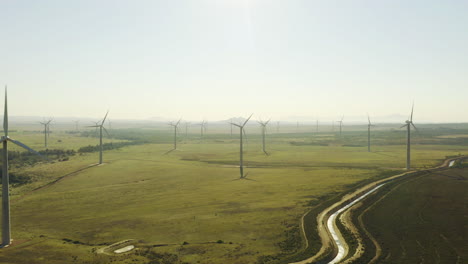 wind farming is where it’s at