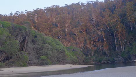 Hermoso-Paisaje-En-Cámara-Lenta-Del-Sol-Brillando-Sobre-Los-árboles-Con-Vistas-A-Un-Estuario-En-Nueva-Gales-Del-Sur,-Australia