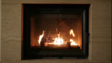 troncos ardiendo en la chimenea, tiempo acogedor