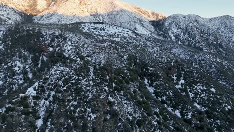 Gerade-Aufwärtsbewegung-Auf-Einem-Schneebedeckten-Berg-Mit-Kiefern-Und-Sonnenlicht,-Das-Den-Gipfel-Berührt