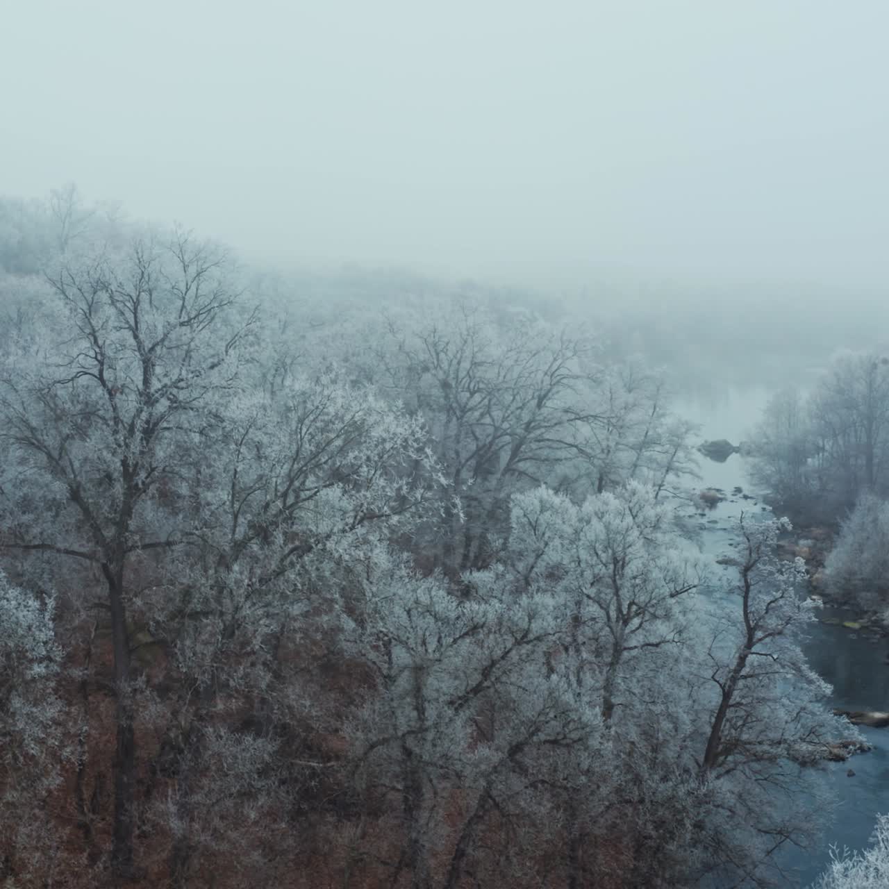 River in the forest in winter. Beautiful aerial landscape of white trees during the winter frost. Aerial view.