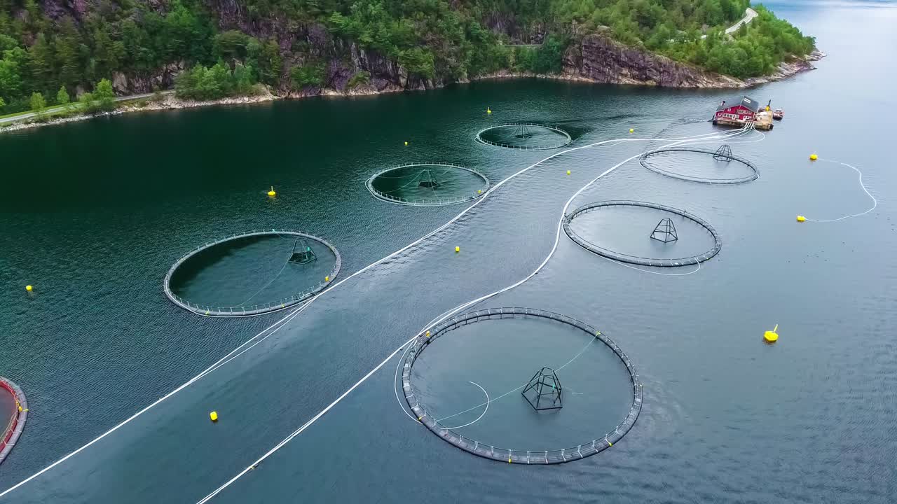 노르웨이에서 연어  ⁇ 시를 하는 공중 촬영