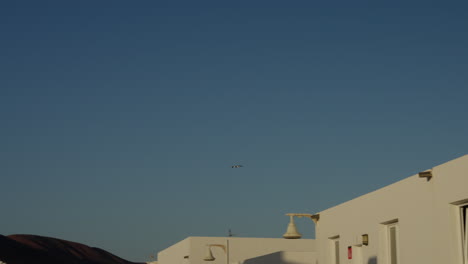 Seagull-flying-in-Lanzarote's-clear-blue-sky