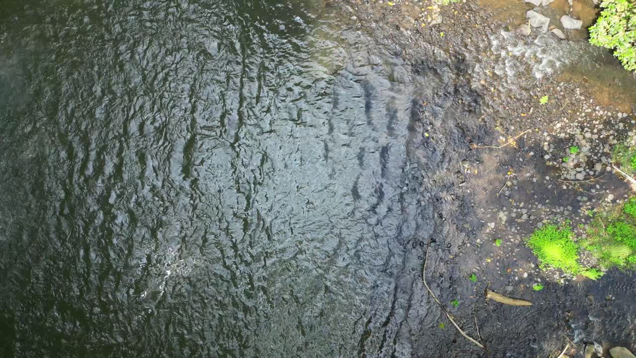 Dilihat dari atas dan menurun di atas aliran air terjun Guegue yang terletak di hutan hijau, menciptakan danau kecil di São Tomé, Afrika