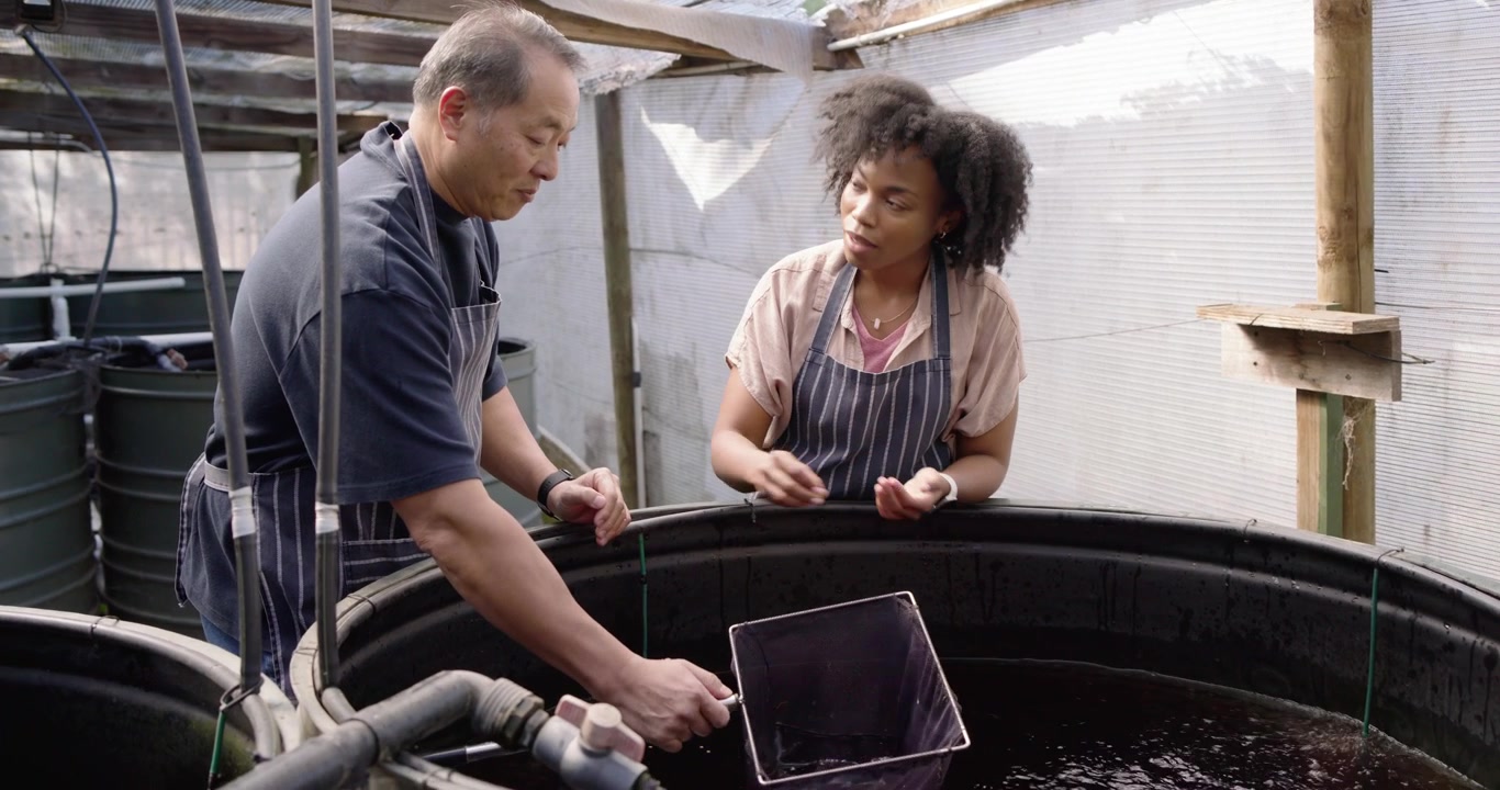Hombre asiático mayor capacitando a mujer africana en el borde de un tanque, mostrando un espécimen mientras ajusta la red y las tuberías.