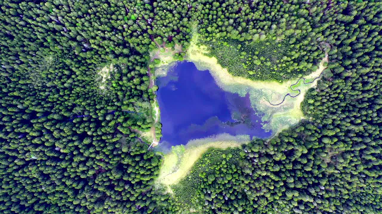 Aerial top down shot of Black Lake, a beautiful natural attraction in Slovenia