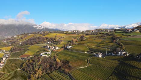 Flugdrohne-über-Den-Weinbergen-Im-Herbst-In-Neustift,-Südtirol