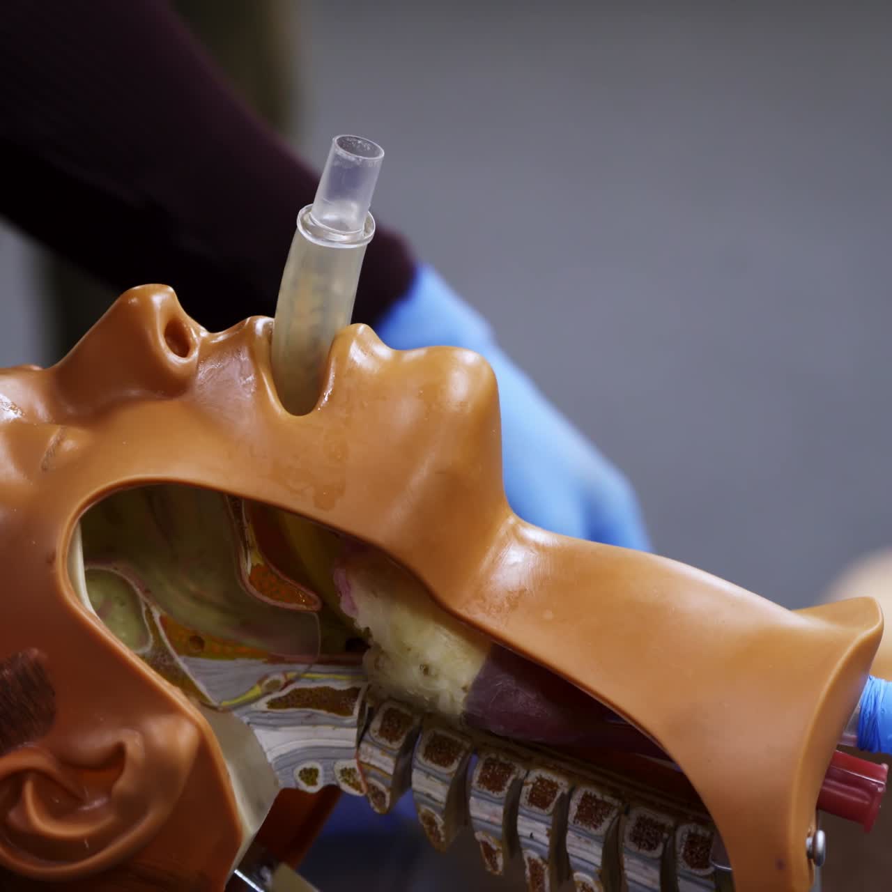Practical course on a dummy's head. Student trying medical exercise at giving a resuscitation on a mannequin in the training center. Close-up