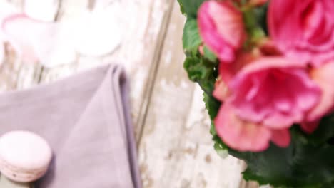 macaroons and pot plant with pink flowers