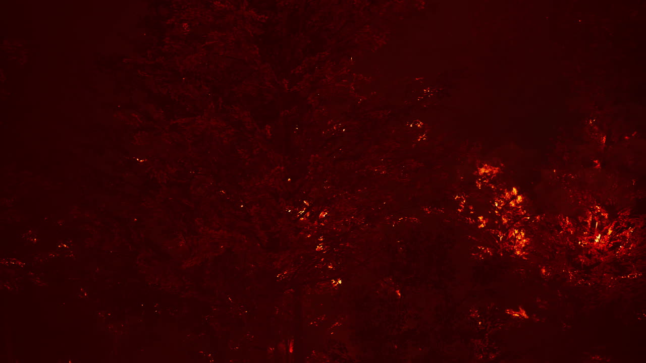 산불 이 숲 에서 땅 을 태우고 있다