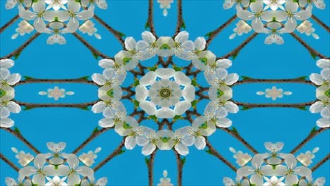 el fondo de movimiento del caleidoscopio abstracto, el fondo en bucle.
