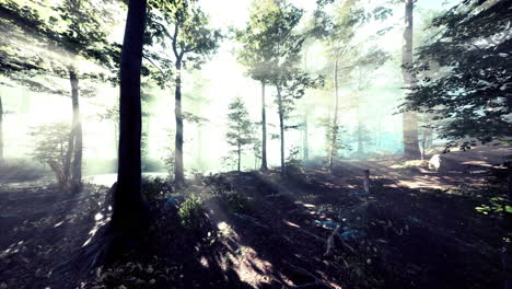 FPV-flight-scene-of-cinematic-autumn-season-forest