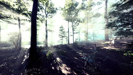 fpv flight scene of cinematic autumn season forest