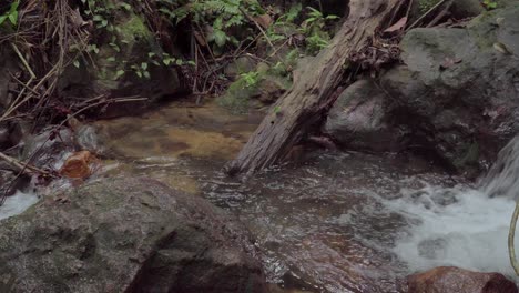 Gebirgsfluss-Im-Tropischen-Regenwald