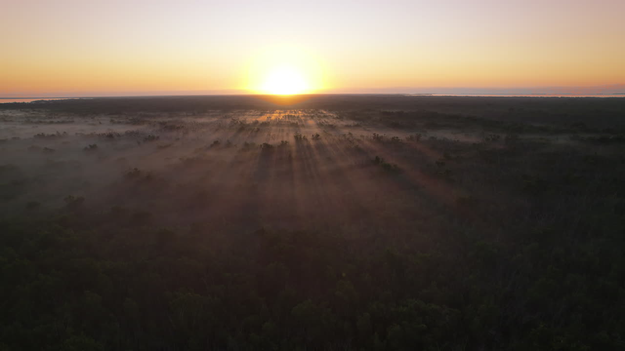 Everglades Foggy Swamp Marsh Slough Sunrise Aerial 3
