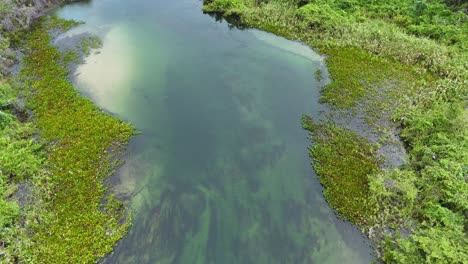 the pantanal is the largest wetlands in the world