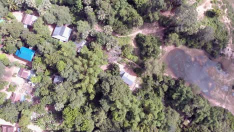 vista aérea del bosque y la plantación en el campo camboyano