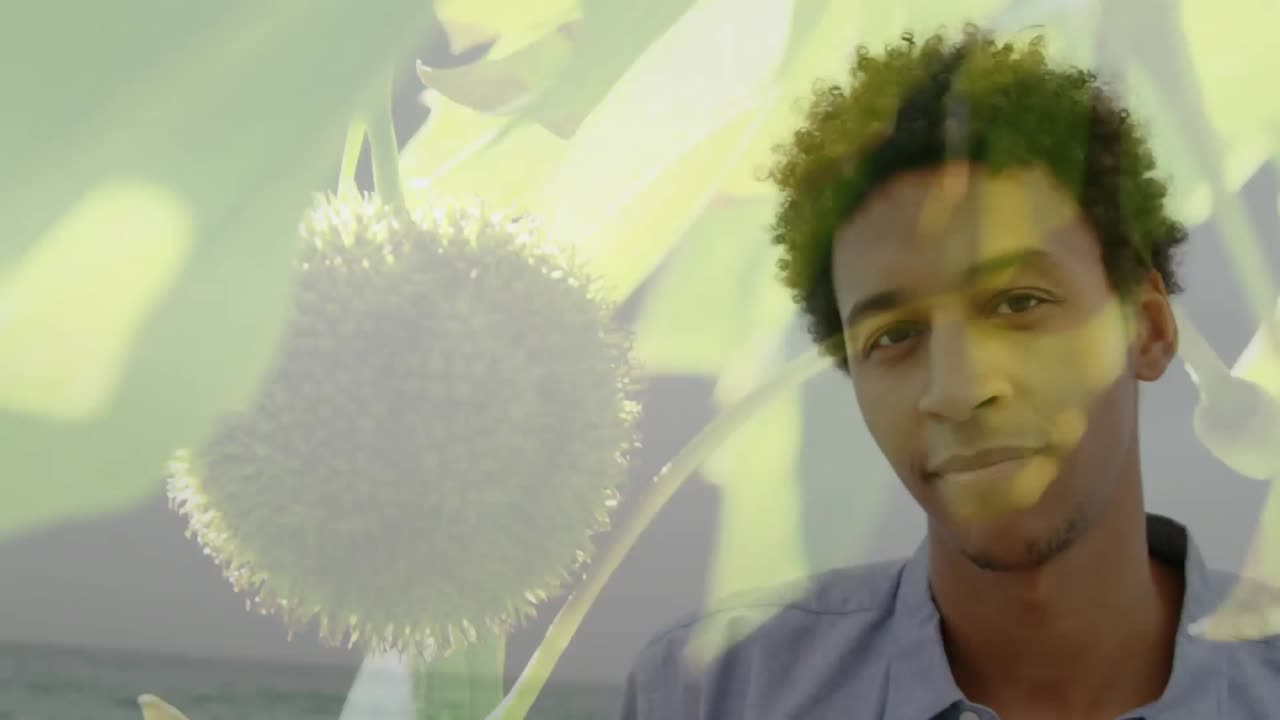 medio ambiente y bienestar