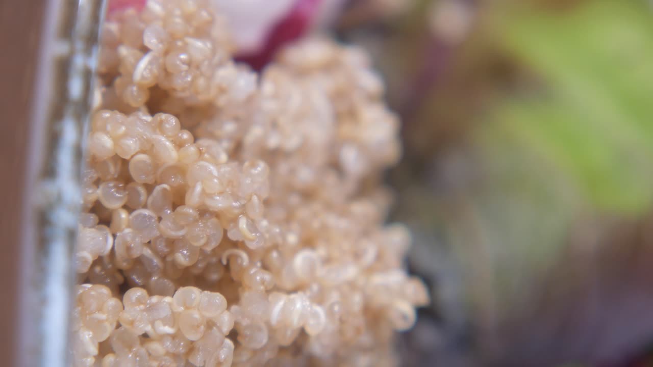 primer plano de la quinoa