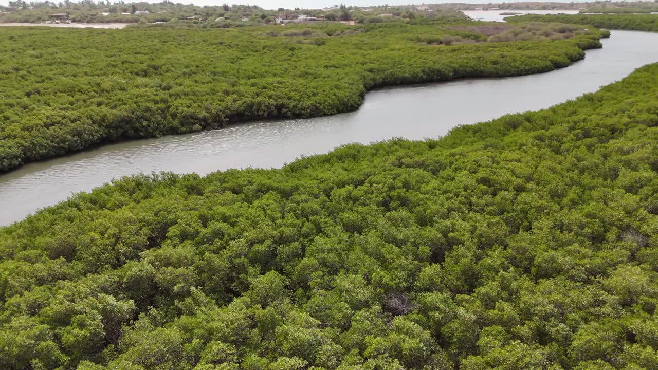Aerial view of lush green mangroves in Somone, Senegal, with winding waterways creating a natural labyrinth near the Atlantic coast