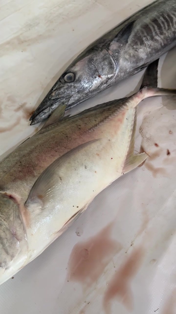 Freshly Caught Fish on a White Cutting Board