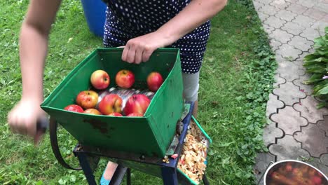Processing of apples for juice production.