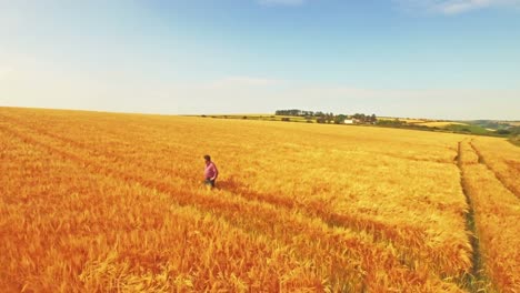 Aerial-view-of-farmer-walking-through-his-fields