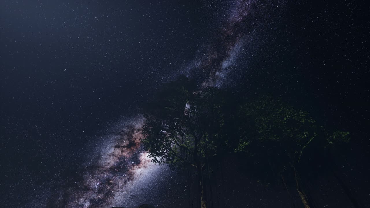 Astrofotografia 4K da Via Láctea sobre Floresta Tropical