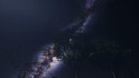 4k astro of milky way galaxy over tropical rainforest.