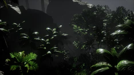 los rayos del atardecer a través de las palmeras