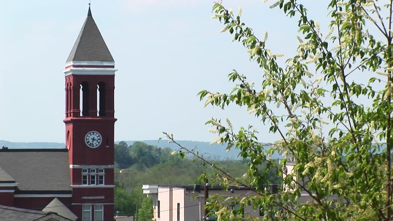 오래된 시계탑 앞에서 바람에 흔들리는 나뭇가지