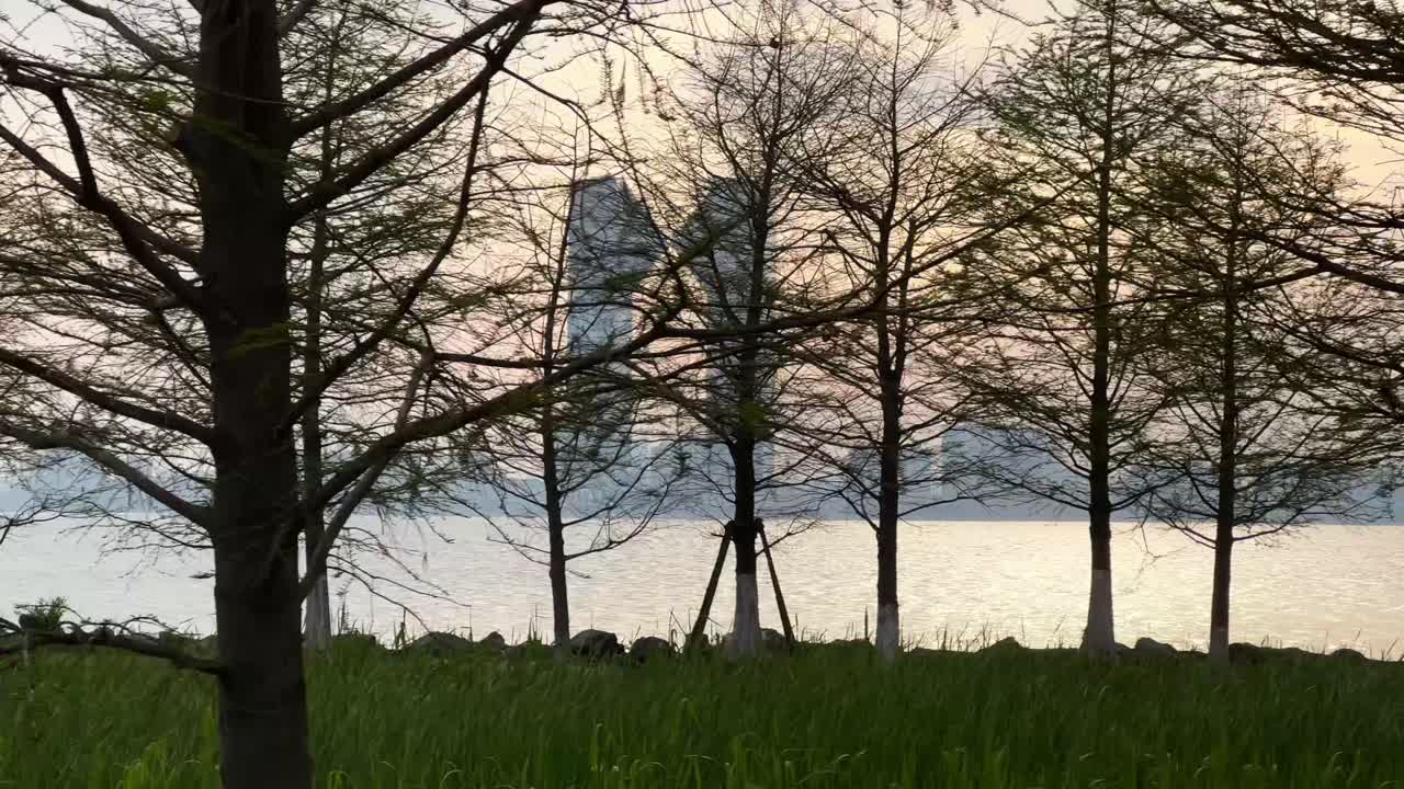 Bank of China at Shanghai Dishui Lake stands over the lake at sunset as trees pass by in the foreground.