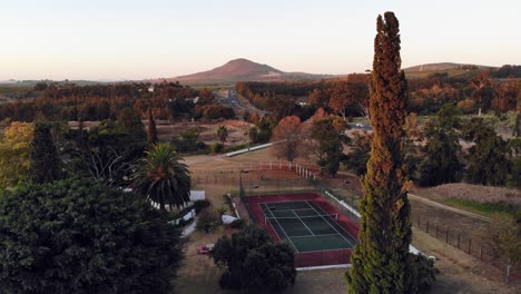 aerial rising over tennis court and pine tree