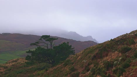 ireland wild landscapes remote lands on sheeps head west cork wild nature in rural ireland in winter