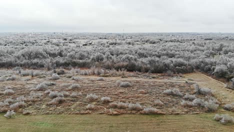 Er-Erhebt-Sich-über-Einem-Gemähten-Grasfeld-Und-Führt-Zu-Einem-Sehr-Frostigen-Naturfeld-Mit-Kleinen-Büschen-Und-Einem-Wanderweg