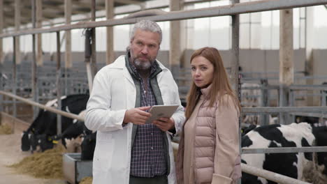 supervisor with tablet talking to cattle farm owner